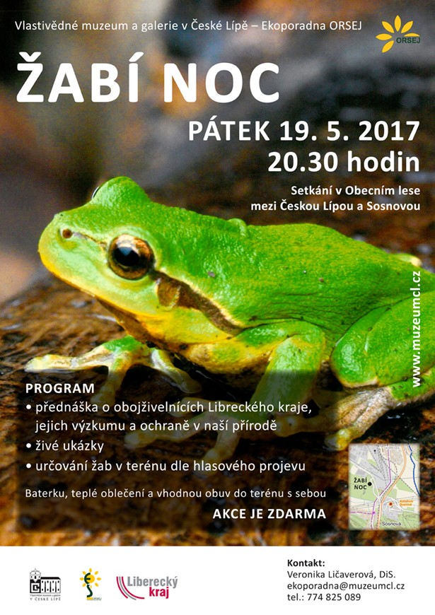 Žabí noc