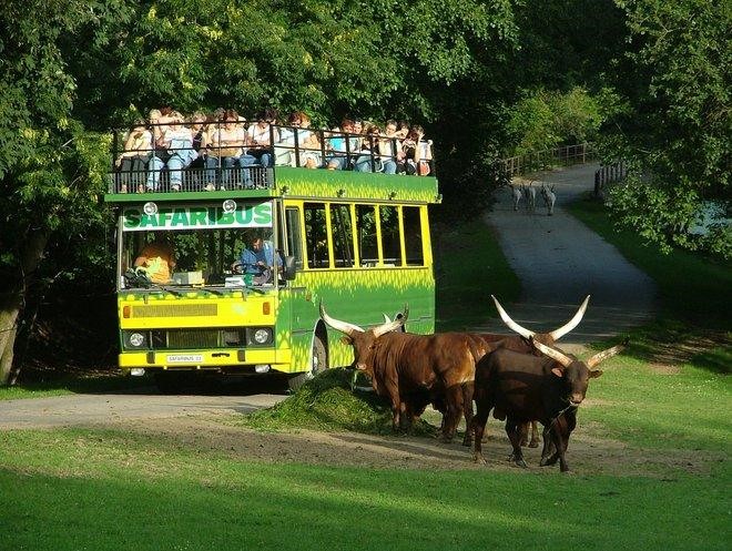 ZOO Dvůr Králové se vrací do asociace evropských zahrad