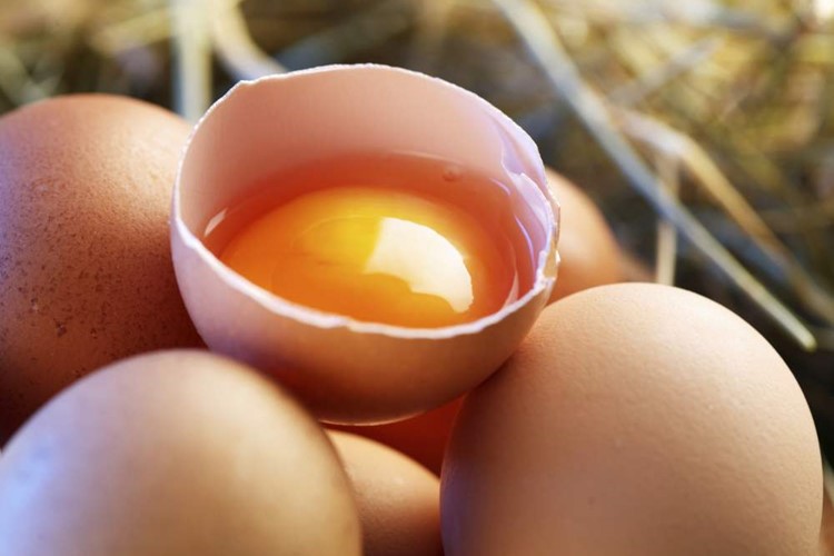 Dosavadní kontroly nezjistili toxický fipronil ve vejcích a mase, ani jeho používání v českých chovech 