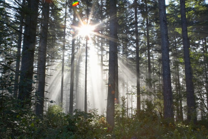 Ilustrační foto.