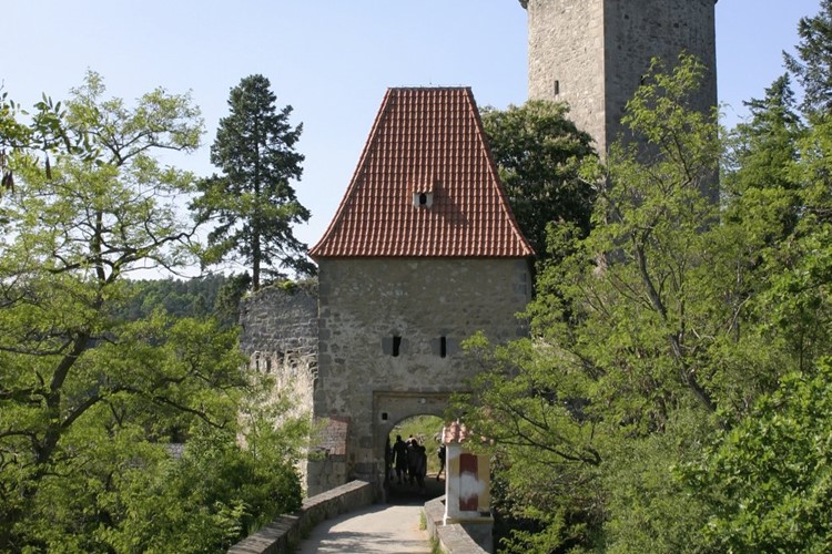 Královská založení na jihu Čech