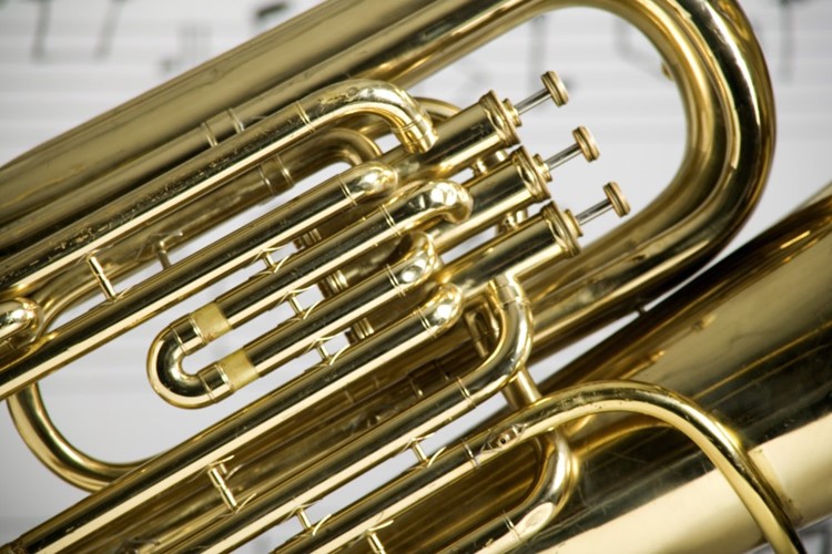 Jazz bez hranic zve do Plzně na pěvecký workshop