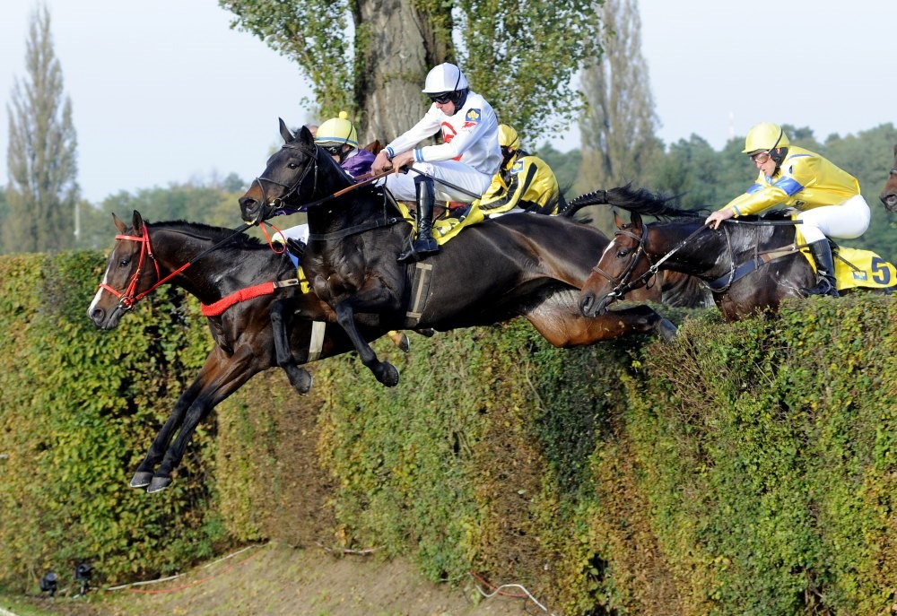 Velká pardubická. Ilustrační foto.
