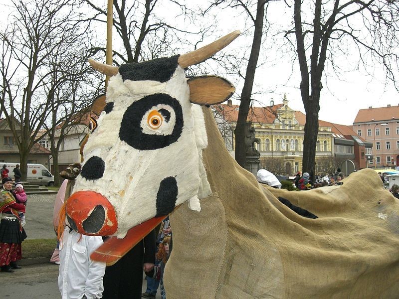 Ilustrační foto.