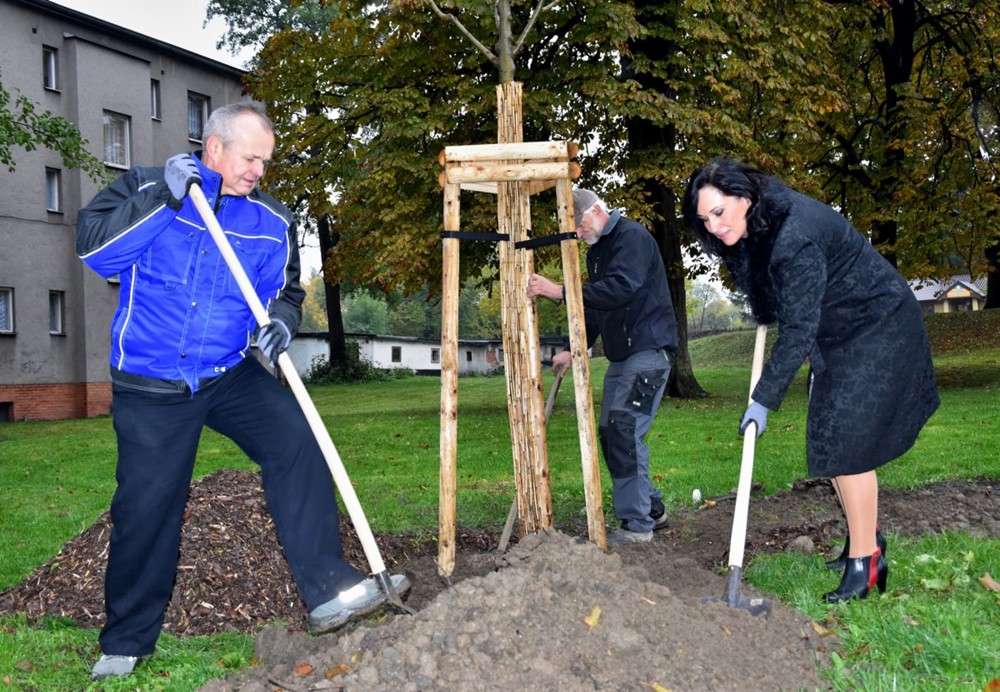 Třinecké železárny budují s městem park.