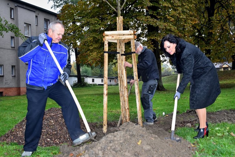 Třinecké železárny budují s městem park. Sází se stromy, keře i stovky květin