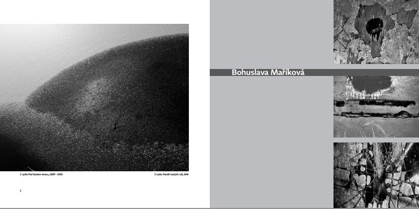 Galerie Nahoře v Českých Budějovicích hostí výstavu Černobílý svět.