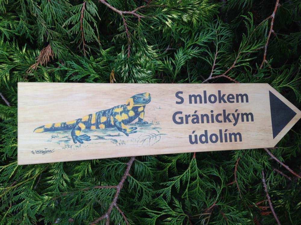 Znojemské lesy připravily lidem dárek. Novou naučnou stezku.