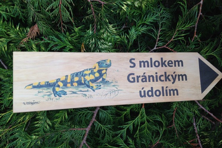 Znojemské lesy připravily lidem dárek. Novou naučnou stezku