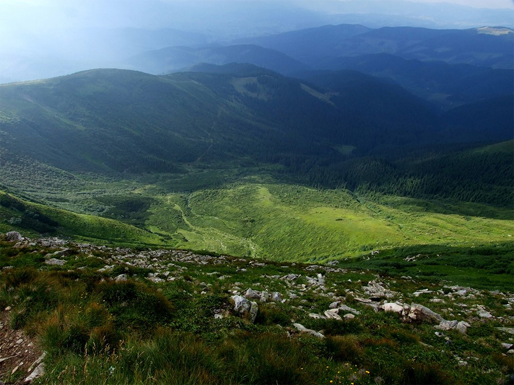 Ukázková fotografie z výstavy. 