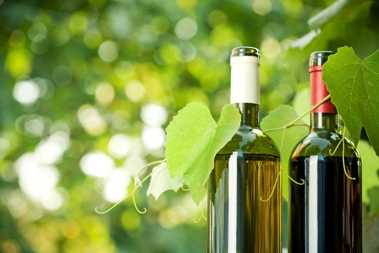 Vinobus VOC Znojmo podpořily další dvě obce