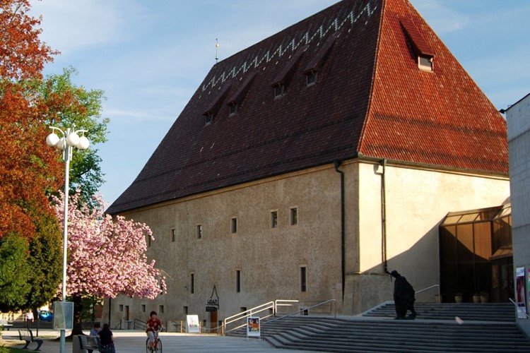 V litoměřickém hradu bude vystavovat dvojice úspěšných výtvarníků Ryvola – Kováč