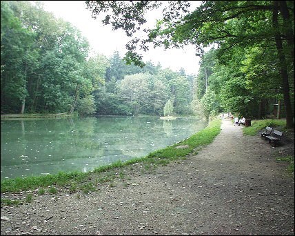 Rybník Bažantnice.