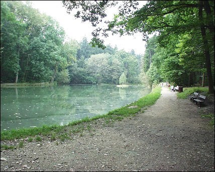 Rybník Bažantnice se vrací rybářům