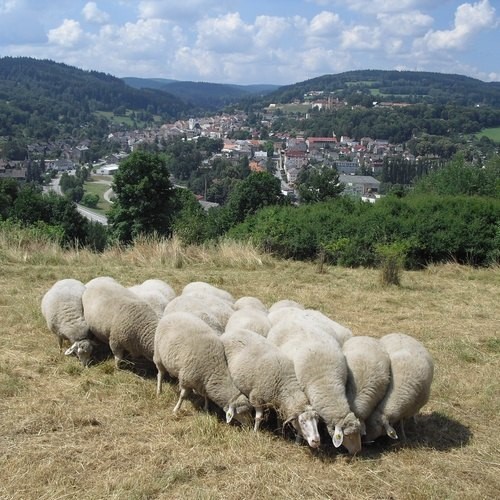 Čtení pomáhá přírodě. Na její péči získalo 100 000 korun