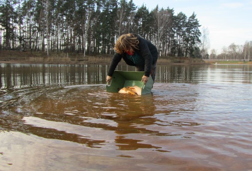 Přijďte si zarybařit na hradecký Stříbrňák.