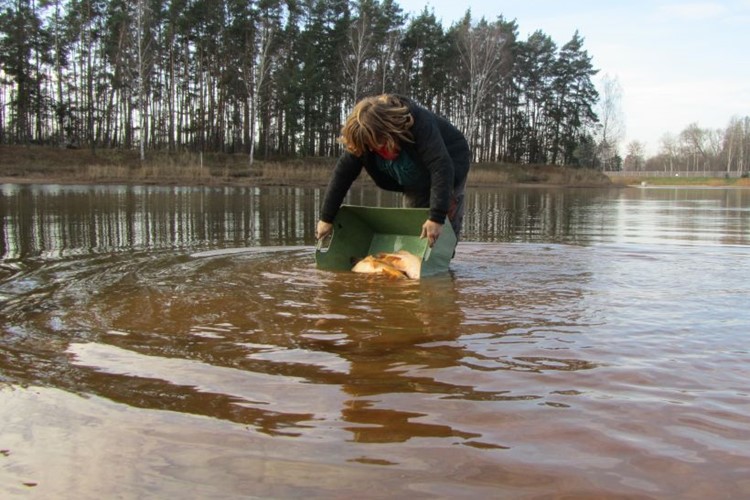 Přijďte si zarybařit na hradecký Stříbrňák
