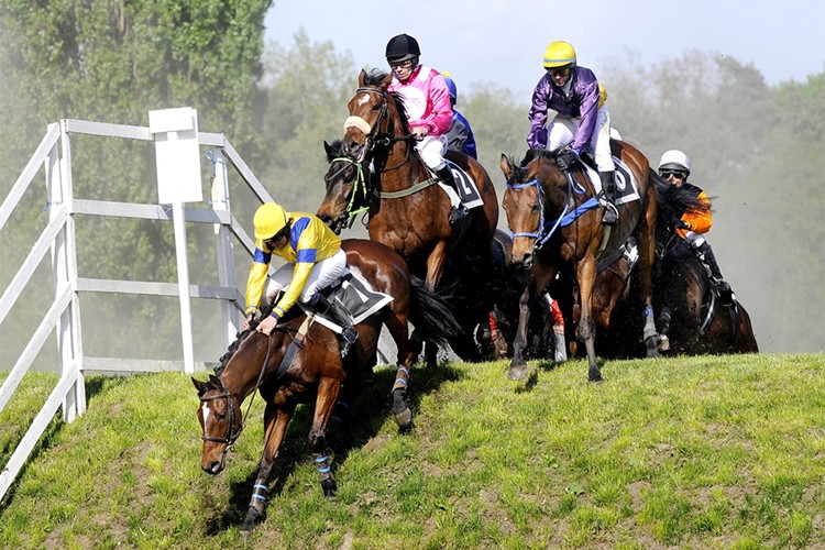 V Úvodní cross country se prosadil Ribelino