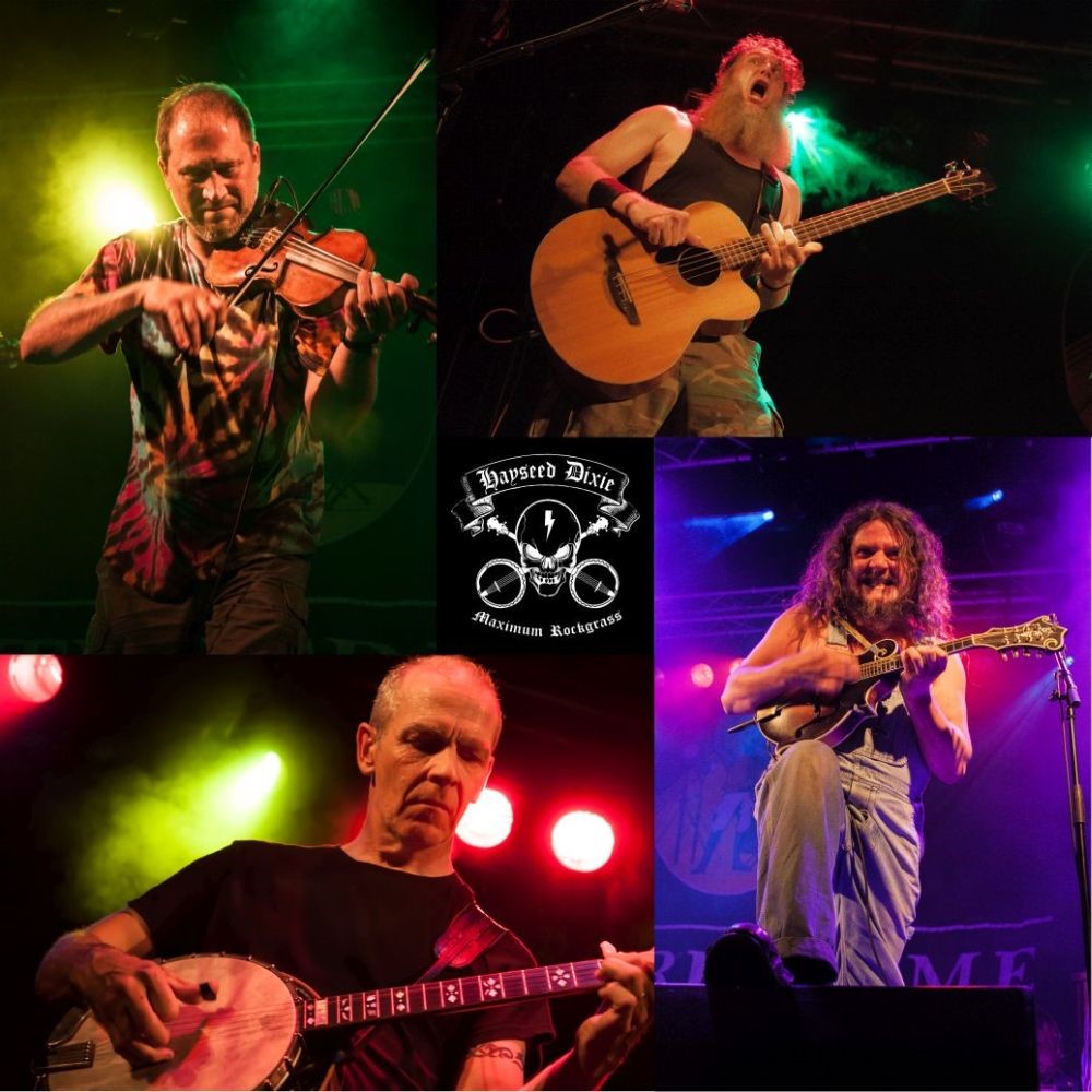 Hayseed Dixie.