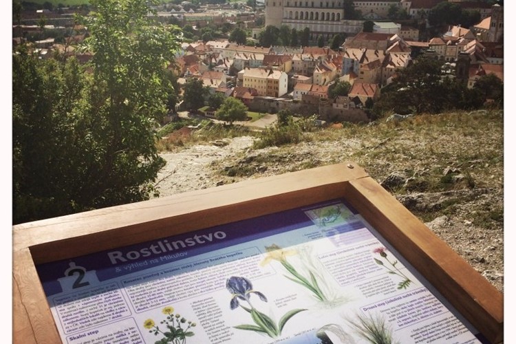 Nová naučná stezka na Svatém kopečku vás zavede i na vyhlídku nad lomem