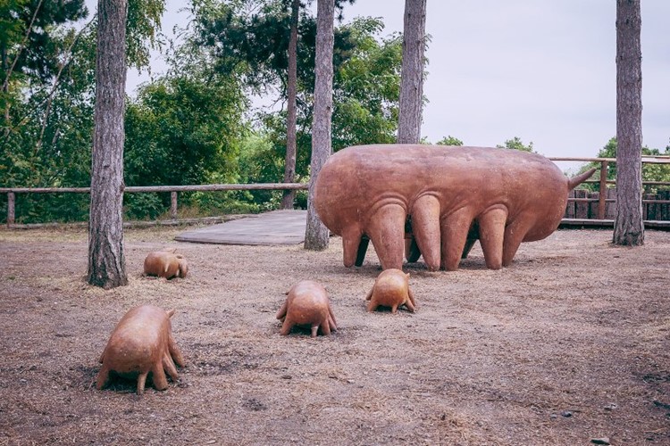 Začíná festival SCULPTURE LINE. Nabízí sochy v pražských ulicích, na letišti, v ZOO i na Vltavě