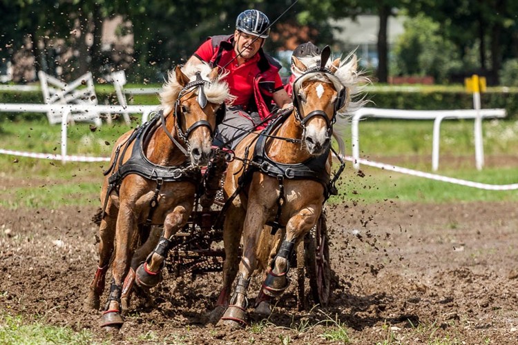 Závody spřežení na pardubickém závodišti měly premiéru v roce 2010
