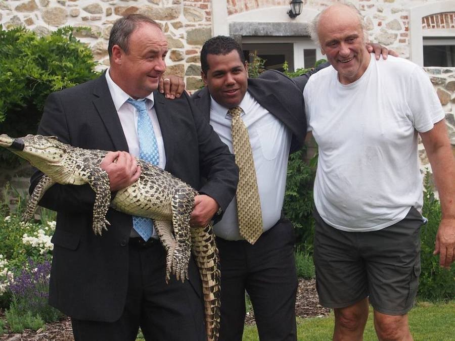 V krokodýlí zoo v Protivíně oslavili 10. narozeniny prvního odchovaného krokodýla kubánského v Evropě.