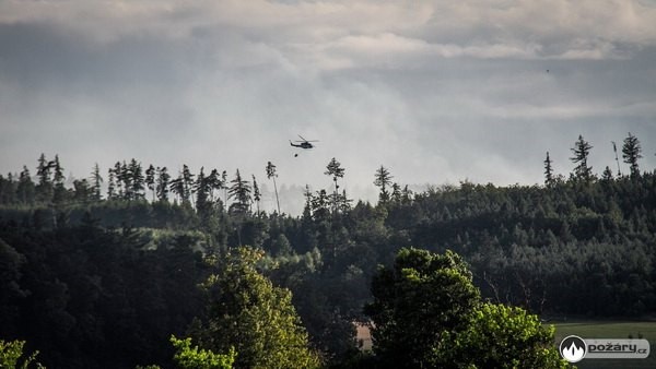 Červenec má smutné prvenství - rekordní počet požárů a obětí ohně