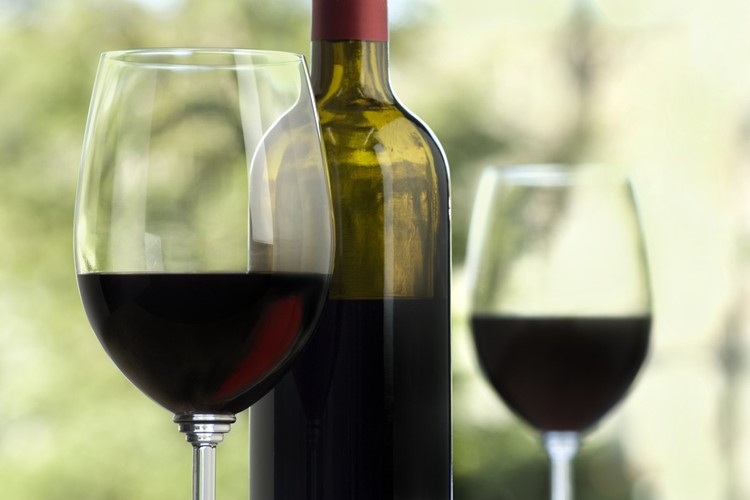 Vinobraní v Litoměřicích láká nabitým programem i dobrou tradicí