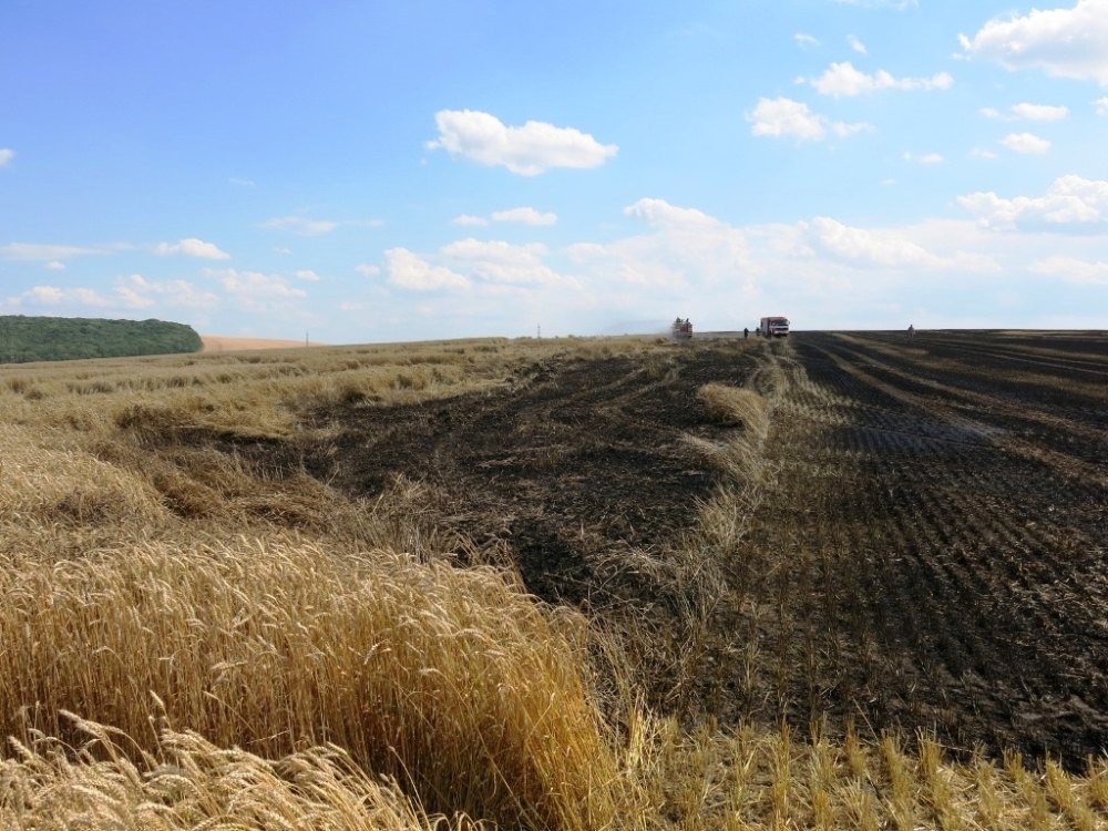 Jihomoravští hasiči v horkém počasí likvidují třikrát více požárů porostů.