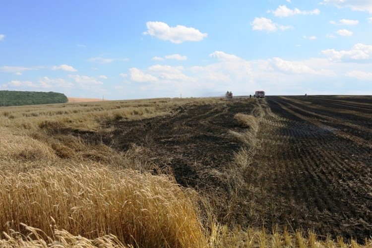Jihomoravští hasiči v horkém počasí likvidují třikrát více požárů porostů