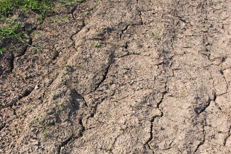 Jihomoravský kraj aktivně bojuje s následky sucha. Pomoci mohou rybníčky
