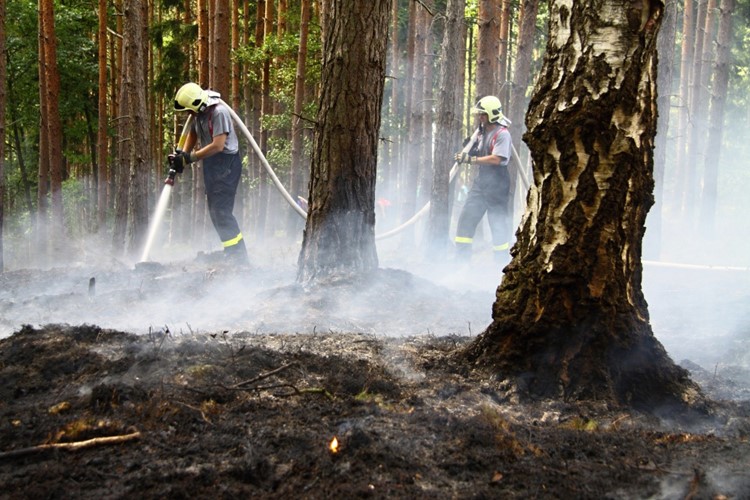Letošní červenec zaznamenal rekordní počet požárů