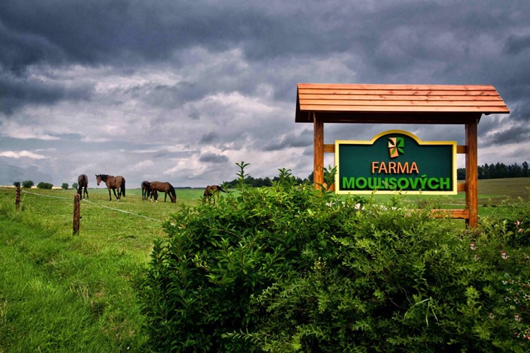 Farmářská slavnost pro rodiny s dětmi na rodinné bio farmě v Milínově