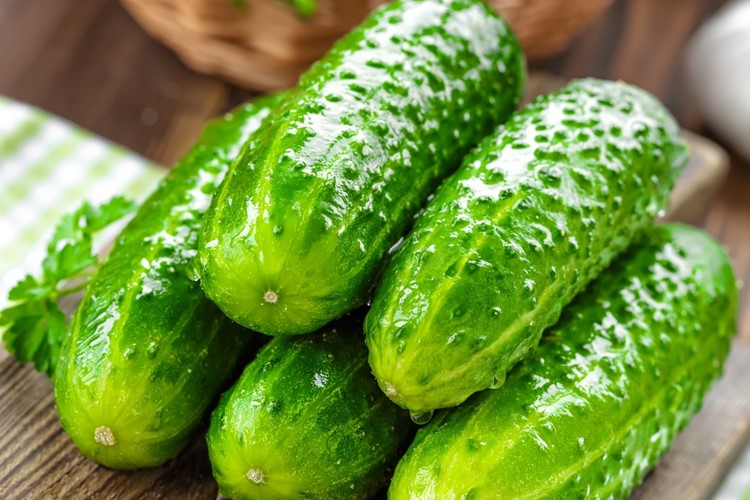 Znojmo bude patřit okurkám. Budou v perníku, vodce i marmeládě