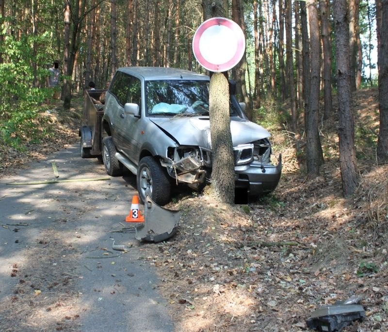 Nalžovice - nehoda po vyhýbání se lesní zvěři.