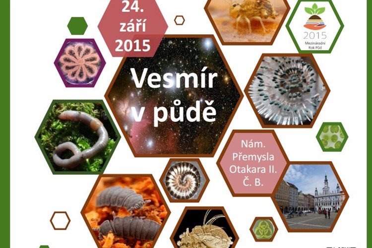 Na náměstí v Českých Budějovicích objevíte 