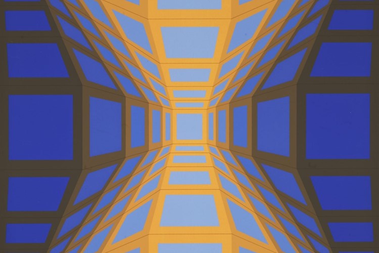 Muzeum umění Olomouc: Sbírka na nákup děl Victora Vasarelyho vynesla 56 tisíc korun