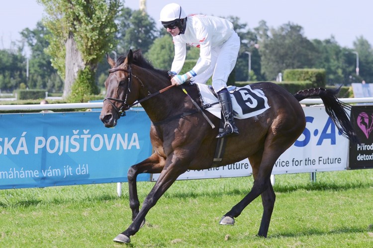 První kolo slev vstupenek na Velkou pardubickou končí už za pár dní