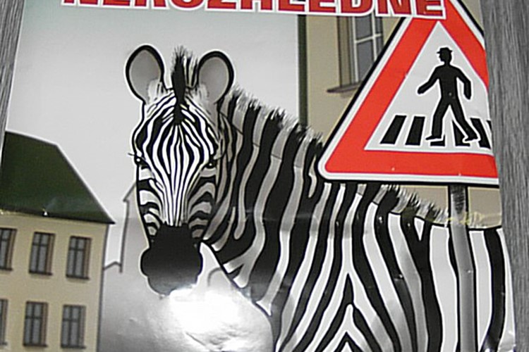 V Příbrami proběhla akce „Zebra se za tebe nerozhlédne“