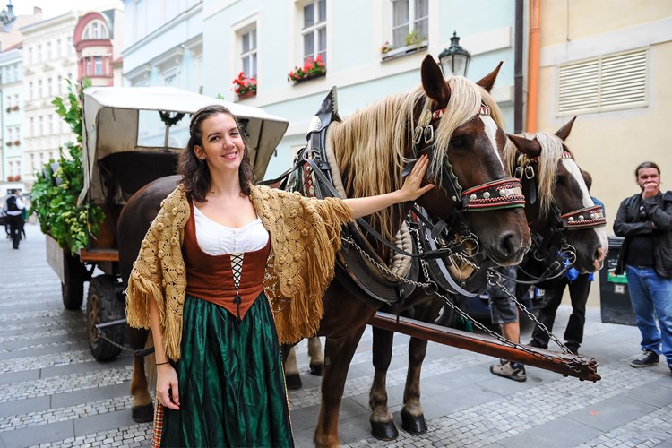 Moravské hospody oslaví 174leté výročí plzeňského piva
