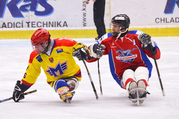 Hráči Motor sledge jdou do boje o první body
