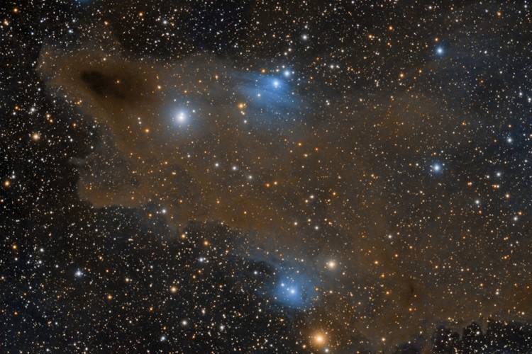 Titul Česká astrofotografie měsíce za říjen 2016 obdržel snímek   „Prach v souhvězdí Cephea“, 