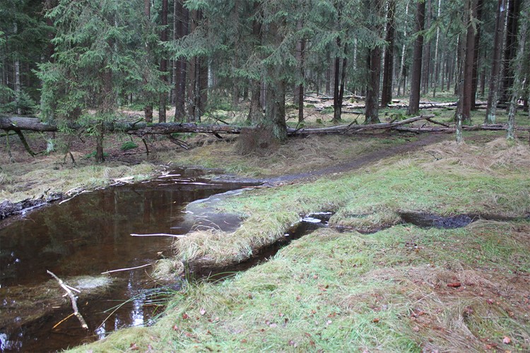 Pozvánka na naučnou stezku Vodní svět