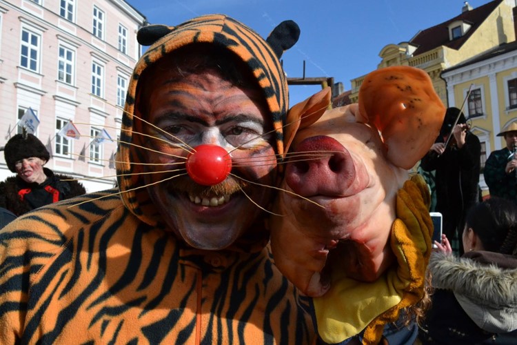 Masopustní nedělní veselí v Jindřichově Hradci