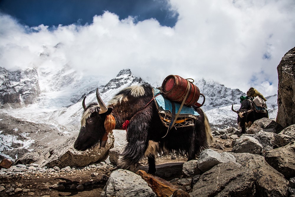 Expediční kamera - Himalaya.