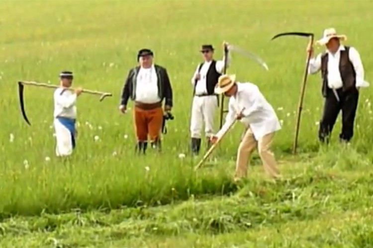 Horní Lipovou rozezní svištění kos a brousků