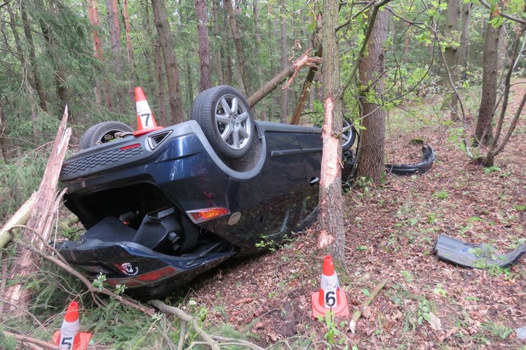 Auto přerazilo několik stromů