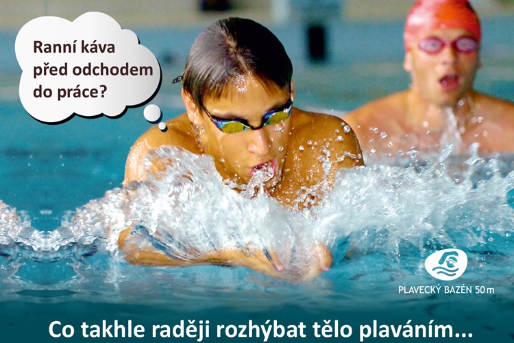 Plavání pro skřivany i pro sovy, má to svoje výhody