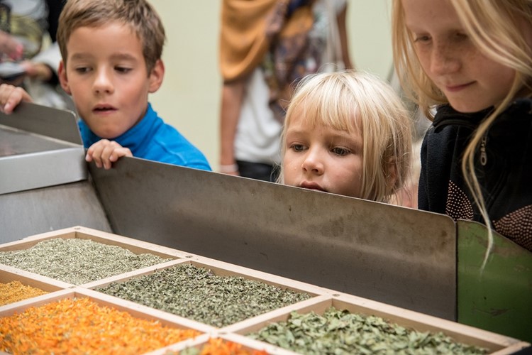 Čejkovické bylinkové slavnosti ve znamení kurkumy a Zero Waste